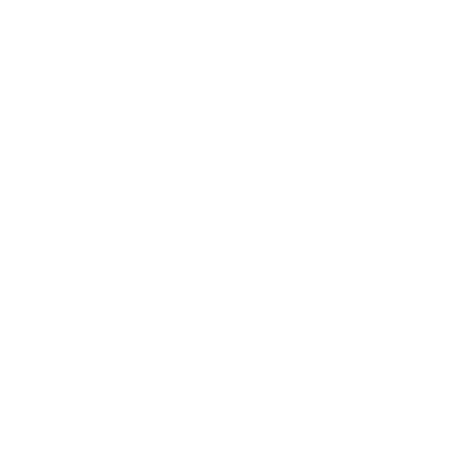 Strava or custom GPX